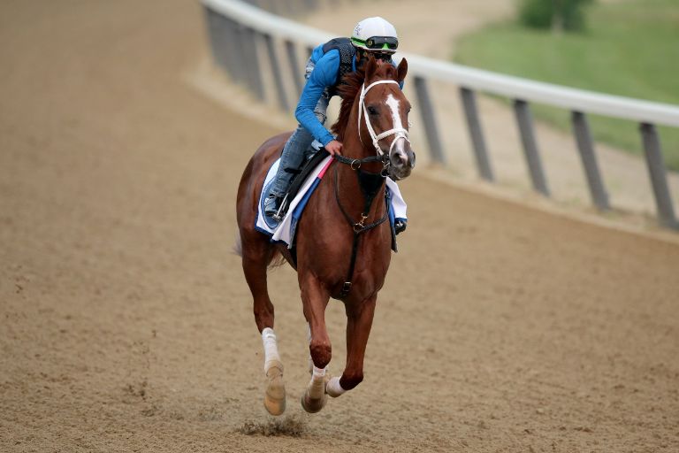 Tapit Shoes Prediction, Odds & Profile for the 2023 Belmont Stakes